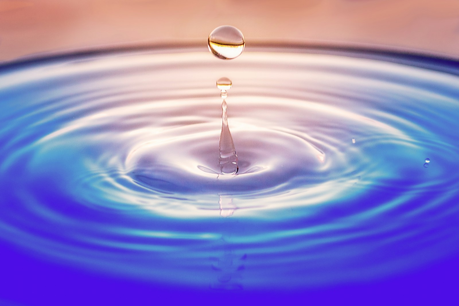 water purifier 정수기